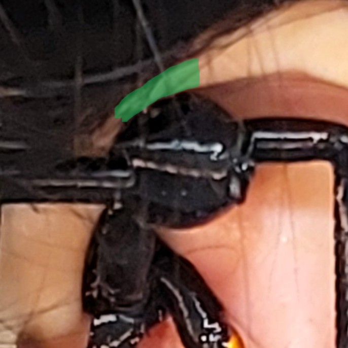 Sphere placement close-up